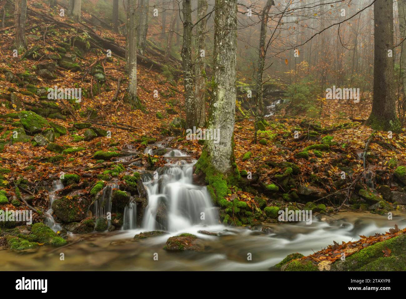 Piccolo torrente dalla collina vicino alla cascata di Ponikly dopo la pioggia notturna in autunno Foto Stock