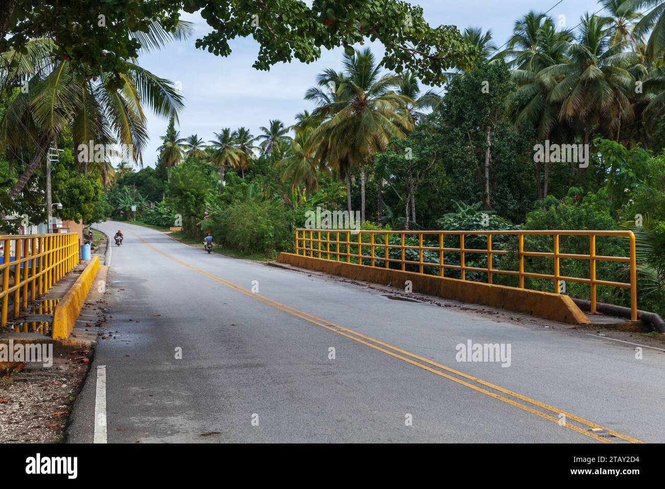 Una prospettiva stradale vuota con ringhiere gialle e palme sullo sfondo, Samana, repubblica Dominicana Foto Stock