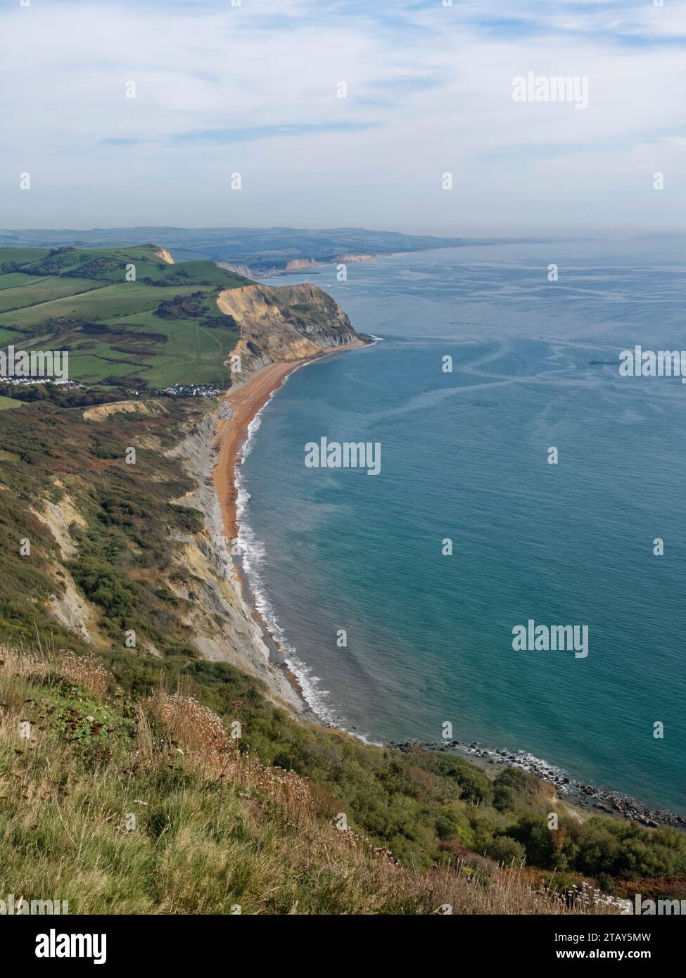 Panoramica di Seatown e della sua spiaggia da Golden Cap, Dorset, Regno Unito, ottobre 2023. Foto Stock