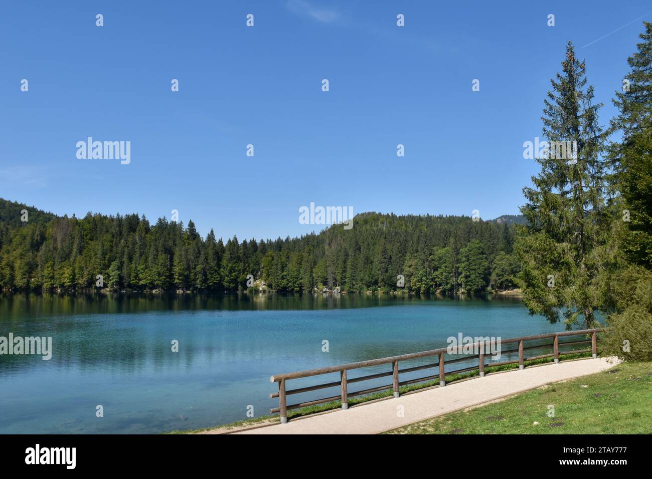 Recinzione in legno sul Lago inferiore di Fusine circondata da boschi Foto Stock