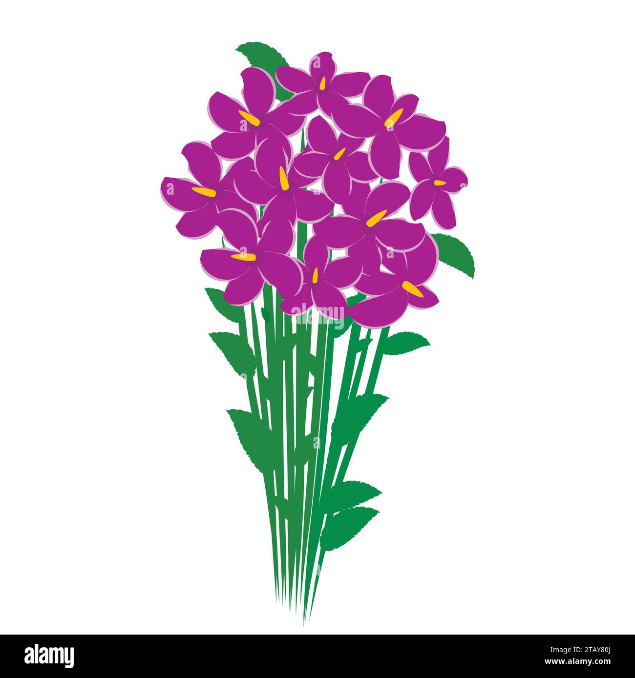 Bouquet primaverile di croci viola, isolato su sfondo bianco. Fiori per regalo donna. Illustrazione vettoriale Illustrazione Vettoriale