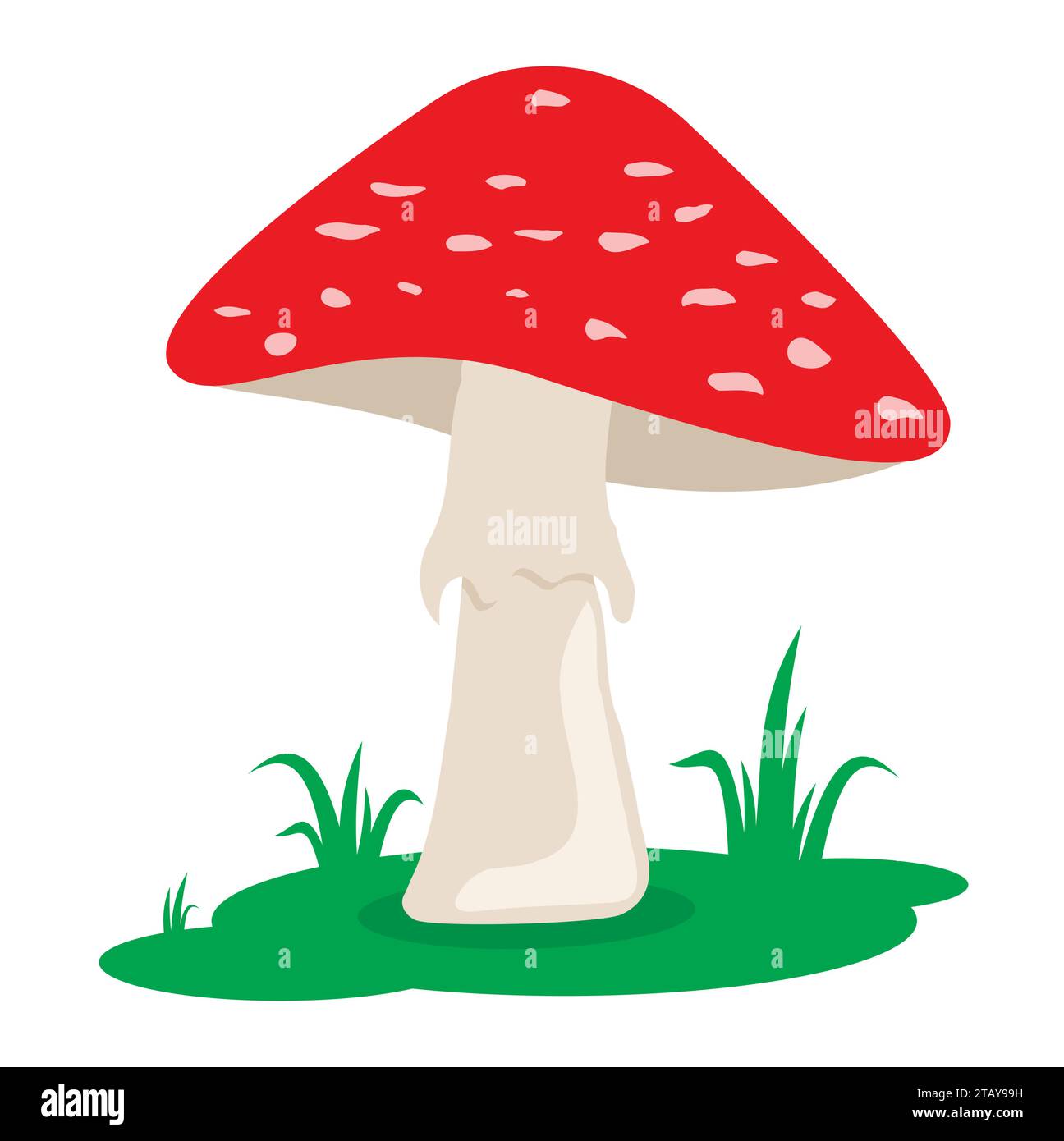 Funghi rossi da cartoni animati sull'erba isolati su sfondo bianco. Fungo veleno della foresta. Amanita in stile piatto. Illustrazione vettoriale Illustrazione Vettoriale