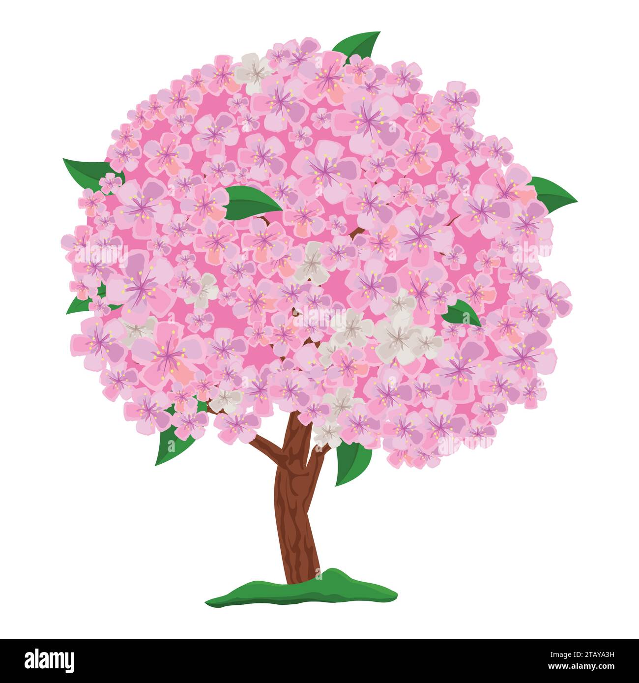 Albero rosa fiorito isolato su sfondo bianco. Albero in fiore primaverile con fiori. Mela, ciliegia e sakura. Illustrazione vettoriale Illustrazione Vettoriale