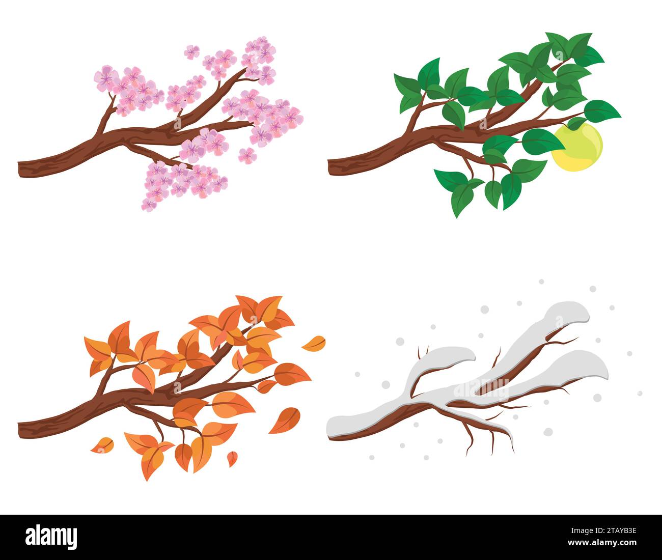 Filiale in quattro stagioni: Primavera, estate, autunno, inverno. Raccolta di alberi di mele isolati su sfondo bianco. Foglie verdi e arancioni, fiori Illustrazione Vettoriale