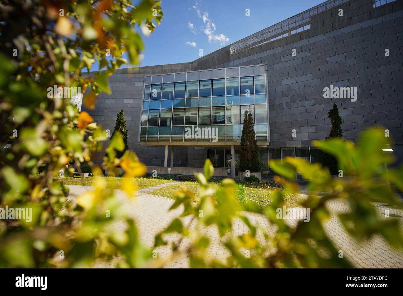 Edificio architettonico verde degli affari con facciata in vetro riflettente foglie verdi sfocate davanti Foto Stock