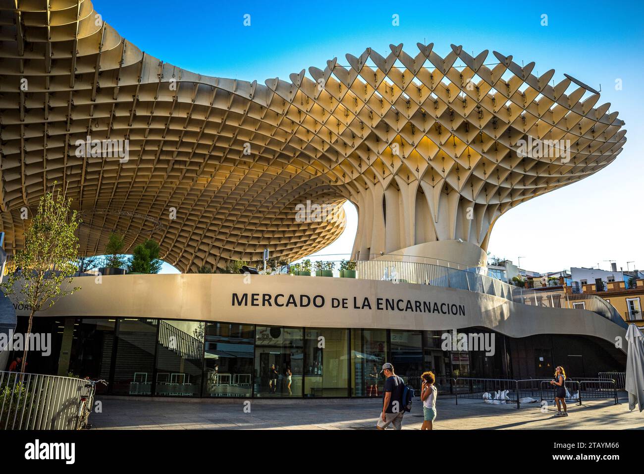 Metropol Parasol pérgola de madera llamado Setas de Sevilla Spagna Foto Stock