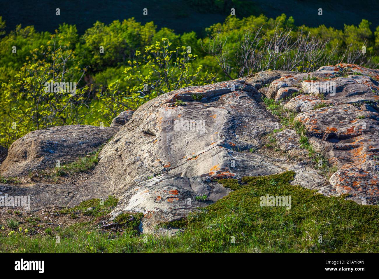 Siome dei petroglifi nella St. Victor Petroglyphs Provincial Historic Park nel Saskatchewan meridionale. Foto Stock