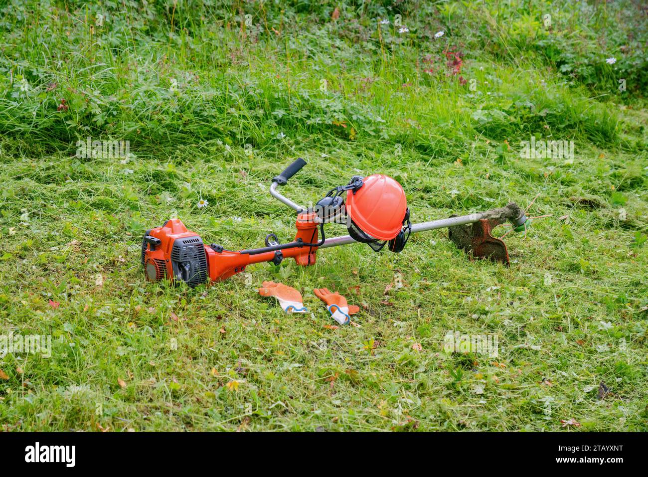 Rifinitore arancione a corda di gas, elmetto di sicurezza con protezione per gli occhi e guanti gommosi su erba appena tagliata Foto Stock
