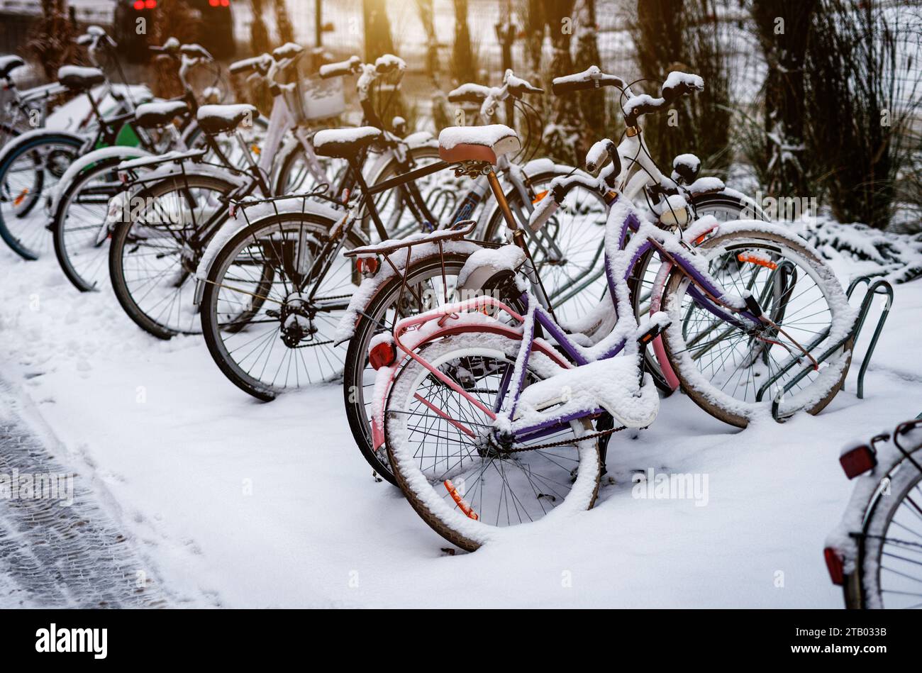 Biciclette parcheggiate nella neve in una fredda giornata invernale. Foto Stock