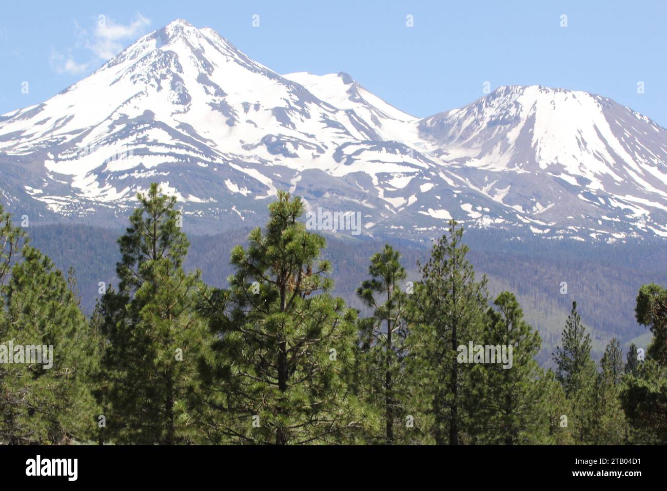 monte shasta Foto Stock