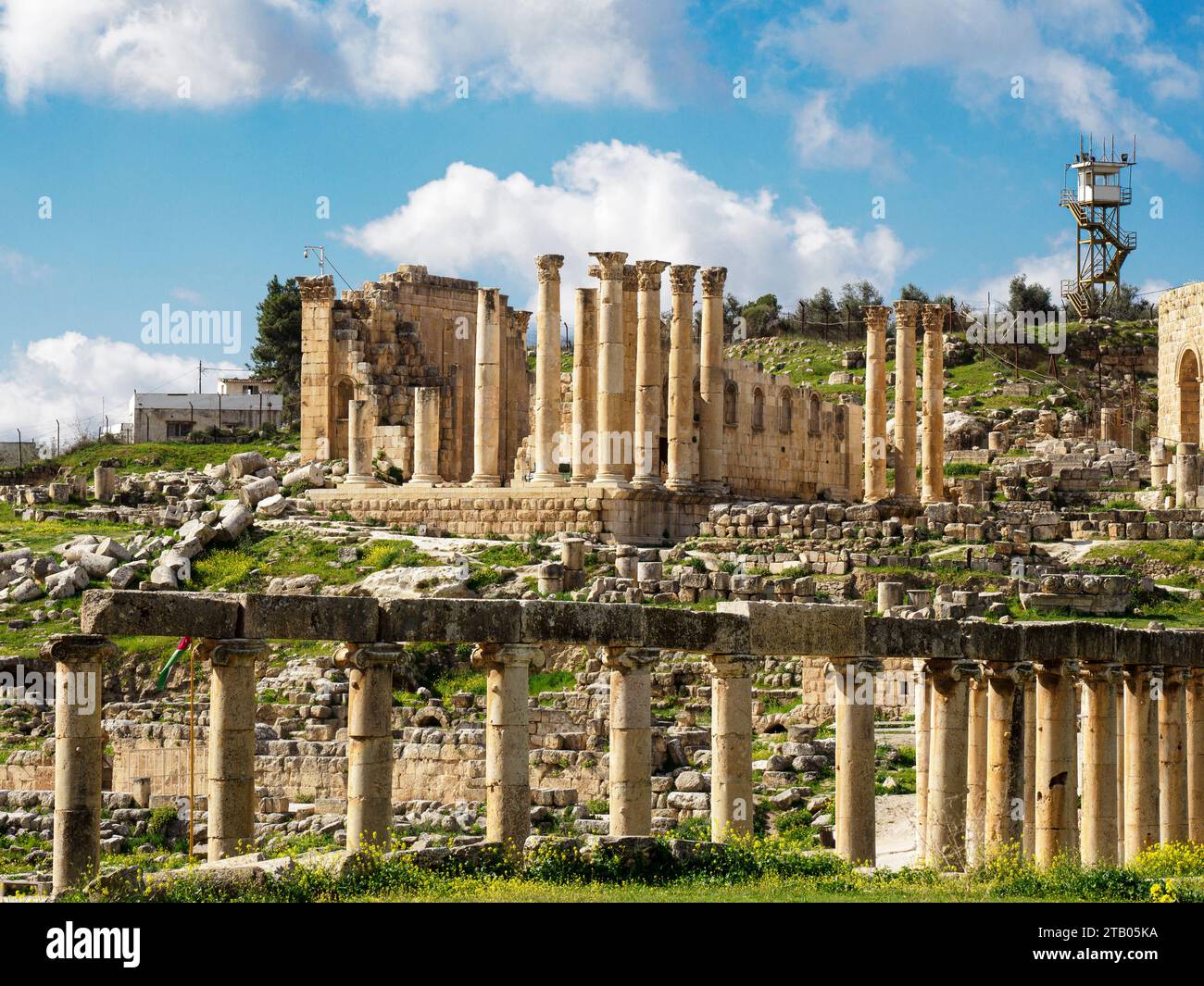 Colonne nella piazza ovale nell'antica città di Jerash, che si ritiene siano state fondate nel 331 a.C. da Alessandro Magno, Giordania Foto Stock