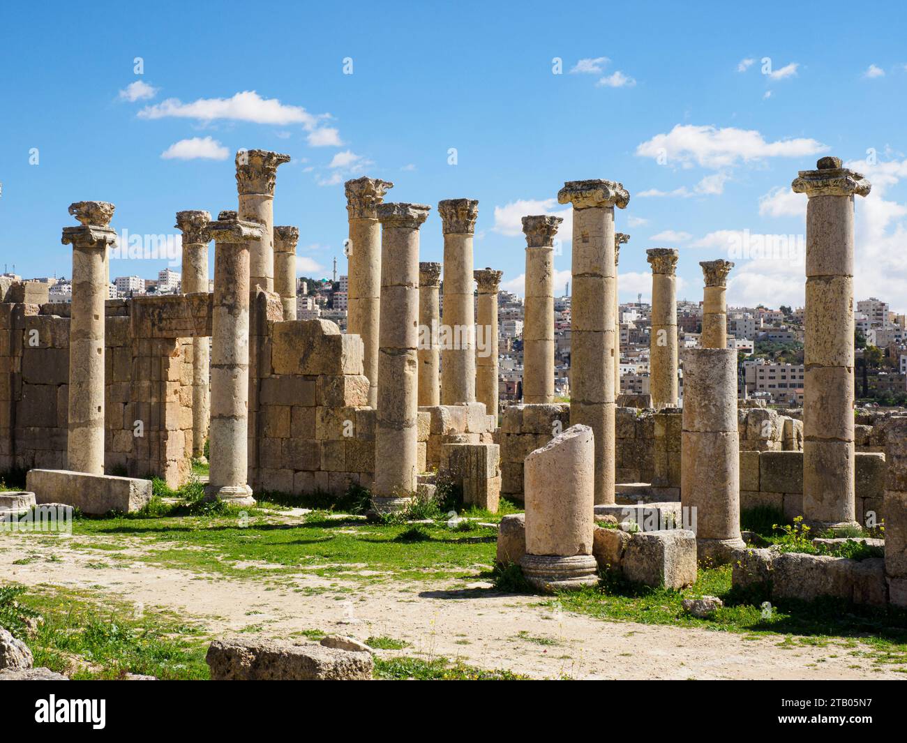 Colonne nell'antica città di Jerash, che si ritiene sia stata fondata nel 331 a.C. da Alessandro Magno, Giordania Foto Stock