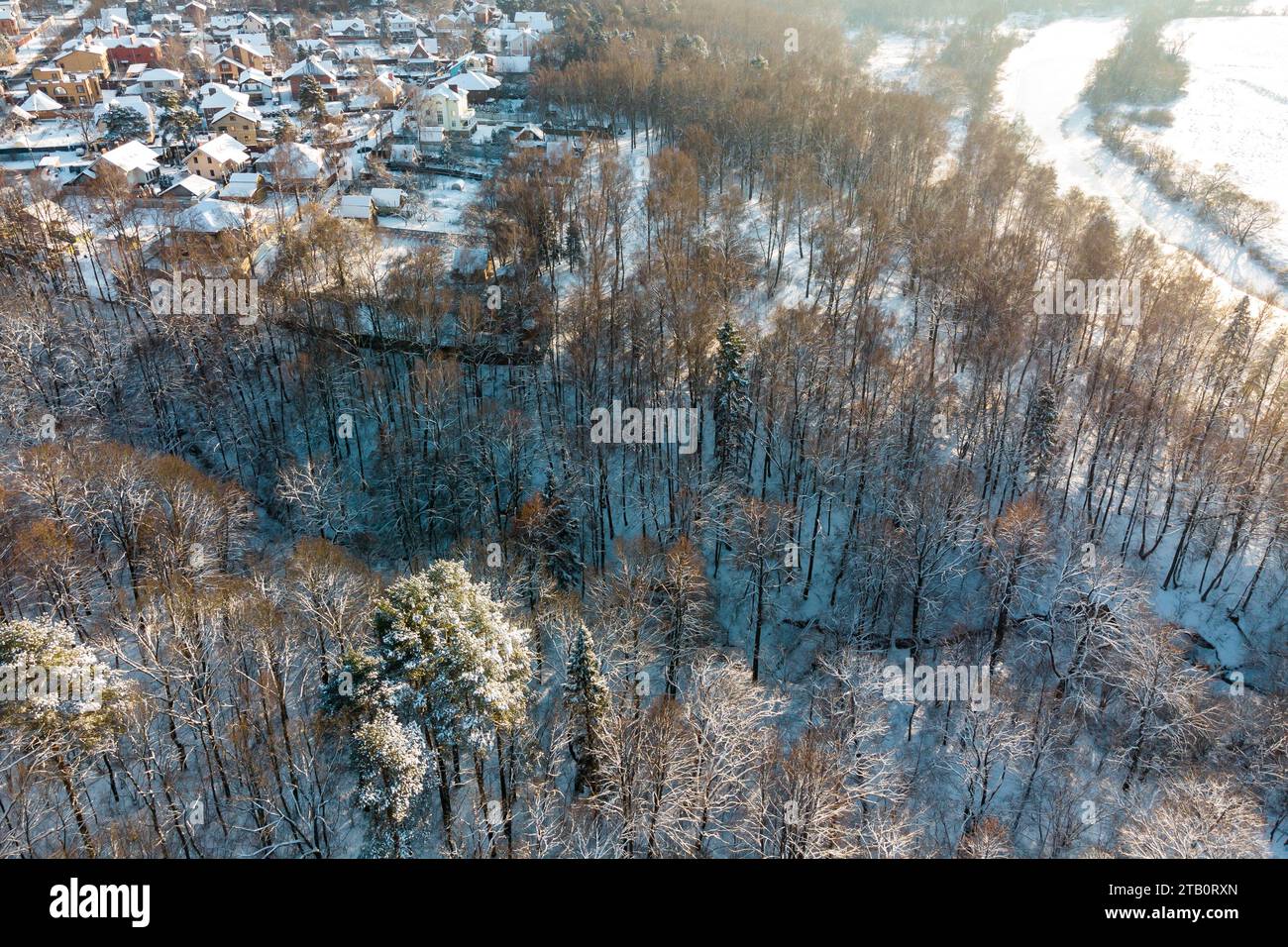 Paesaggio invernale dall'alto, il settore privato con bassi edifici confina con la foresta Foto Stock