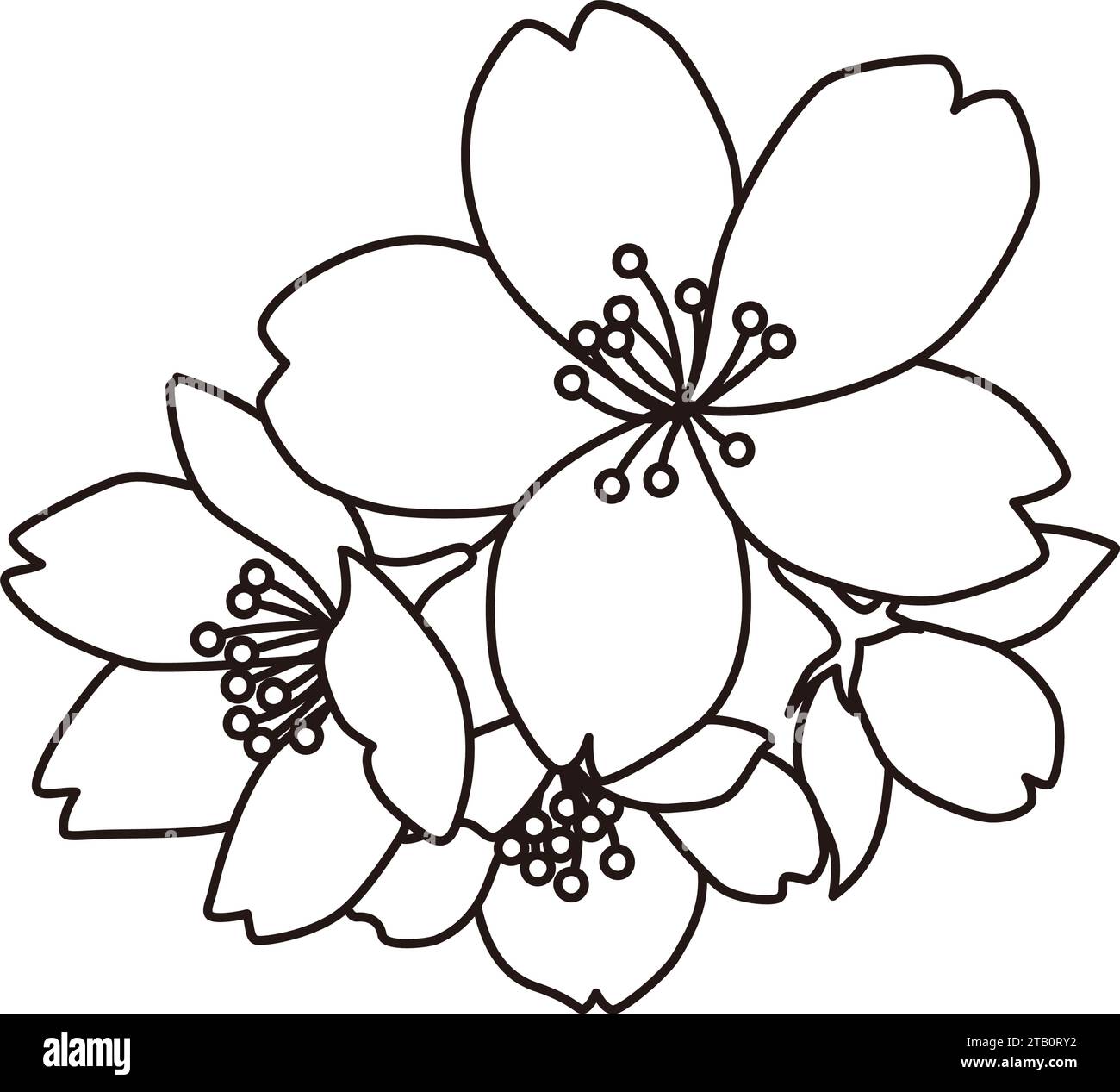 Un semplice disegno a linee monocromatico di ciliegi in fiore che può essere utilizzato come punto focale. Fiori che simboleggiano la primavera. Illustrazione Vettoriale