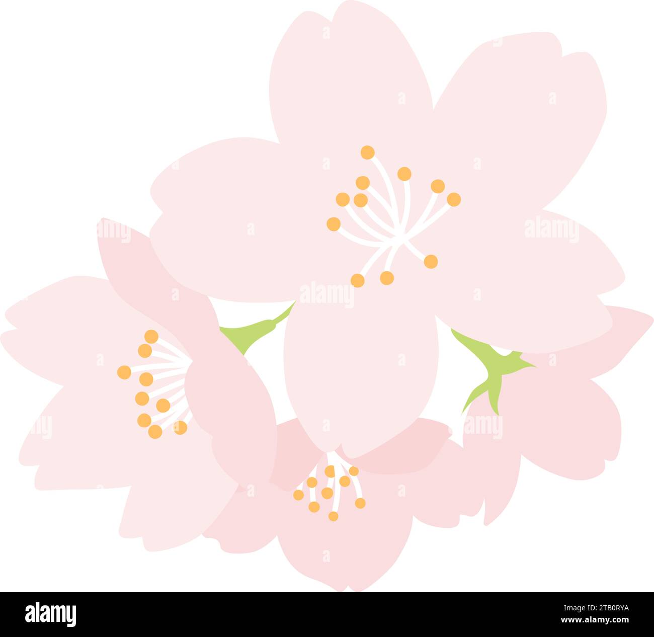 Una semplice illustrazione di fiori di ciliegio che può essere utilizzata come punto focale. Illustrazione del design piatto colorato. Fiori che simboleggiano la primavera. Illustrazione Vettoriale Una semplice illustrazione di fiori di ciliegio che può essere utilizzata come punto focale. Illustrazione del design piatto colorato. Fiori che simboleggiano la primavera. Illustrazione Vettoriale