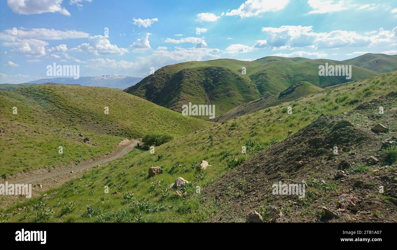 Mandria di pecore che pascolano sui prati verdi con le montagne. Un gregge di pecore nelle alture dell'altopiano iraniano. Lorestan. Durood Foto Stock