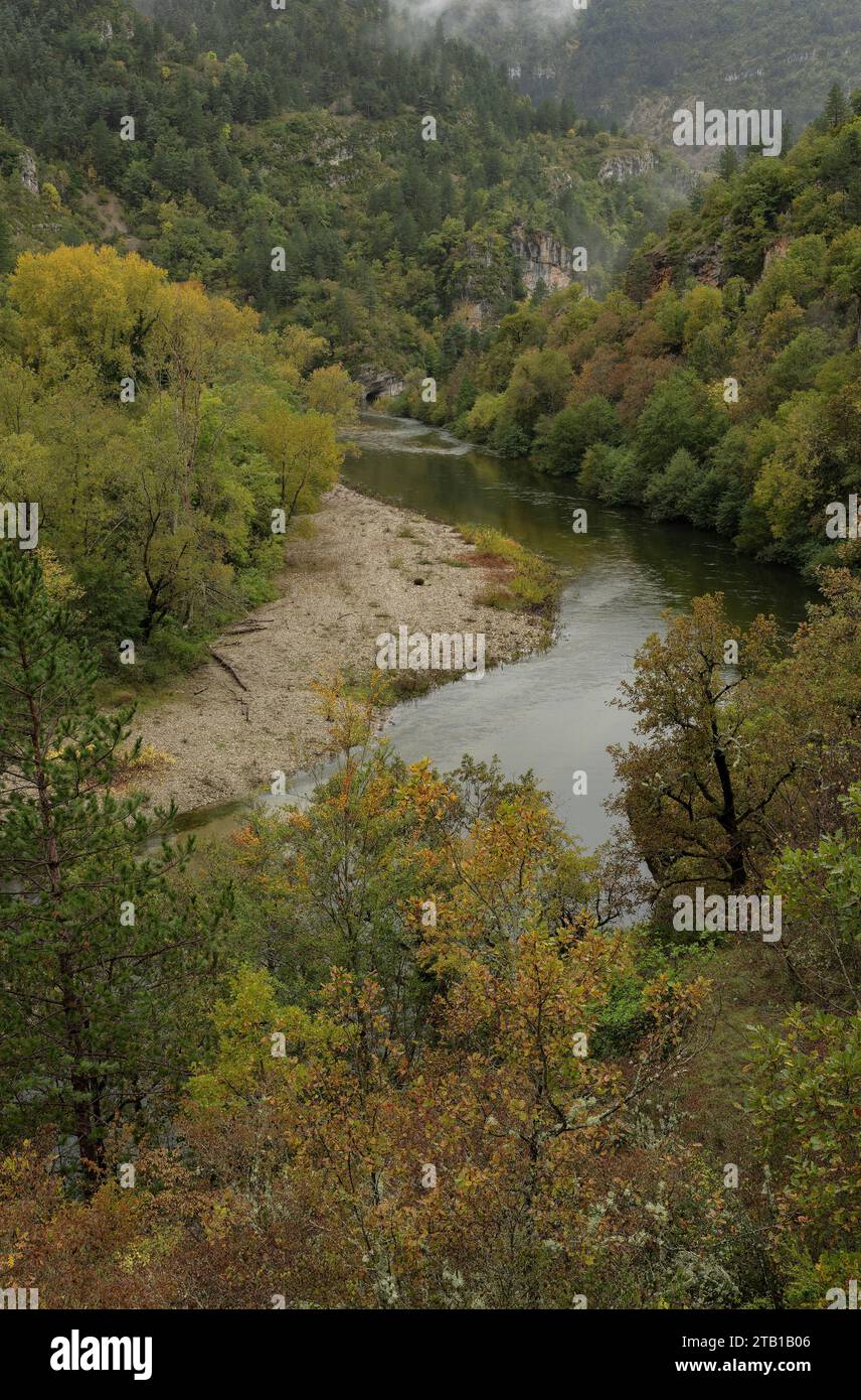 Le Gorges du Tarn sopra Ste Enimie in autunno. Francia. Gorges du Tarn, Gòrjas de Tarn, Tarn Gorge, Causse Méjean, Causse de Sauveterre, Lozère, Foto Stock