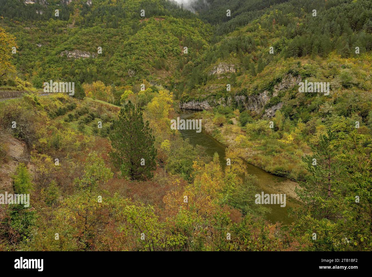 Le Gorges du Tarn sopra Ste Enimie in autunno. Francia. Gorges du Tarn, Gòrjas de Tarn, Tarn Gorge, Causse Méjean, Causse de Sauveterre, Lozère, Foto Stock