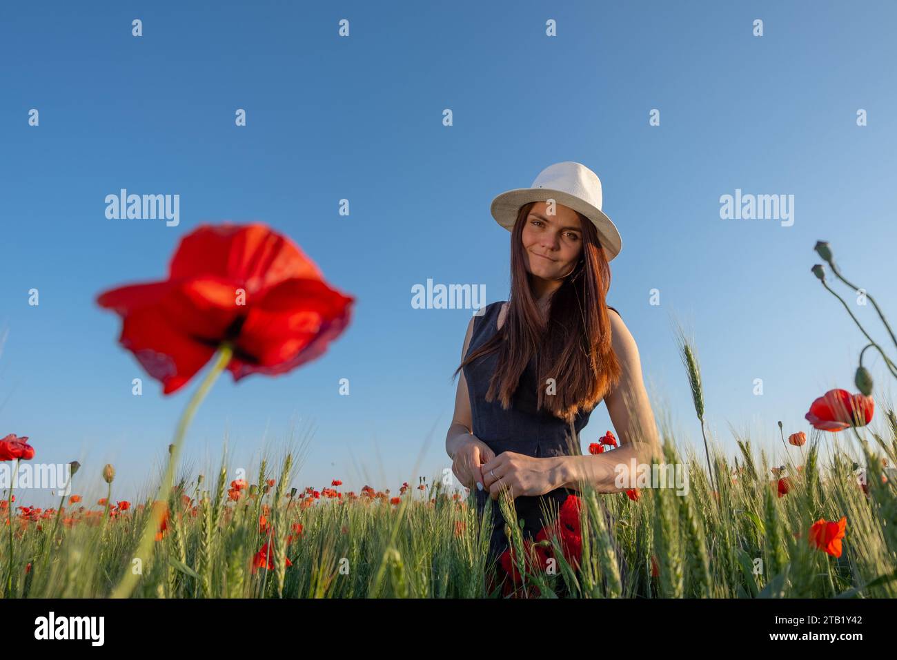 Ritratto di Una giovane donna con Un cappello bianco in piedi su Un Poppy Field Foto Stock