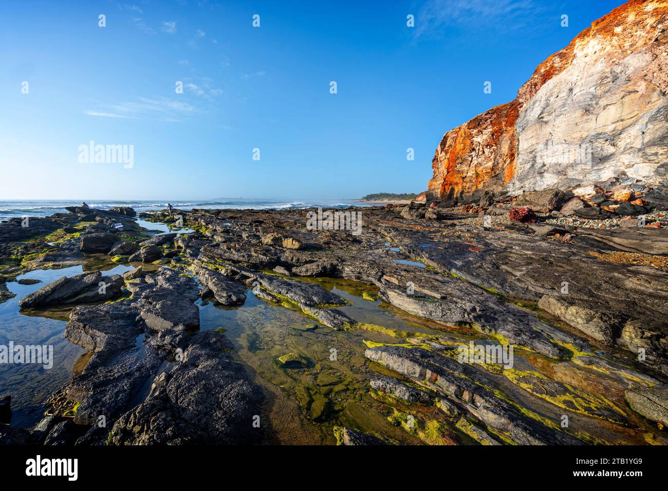 Litorale roccioso con bassa marea, Red Cliffs, Yuraygir National Park NSW Foto Stock