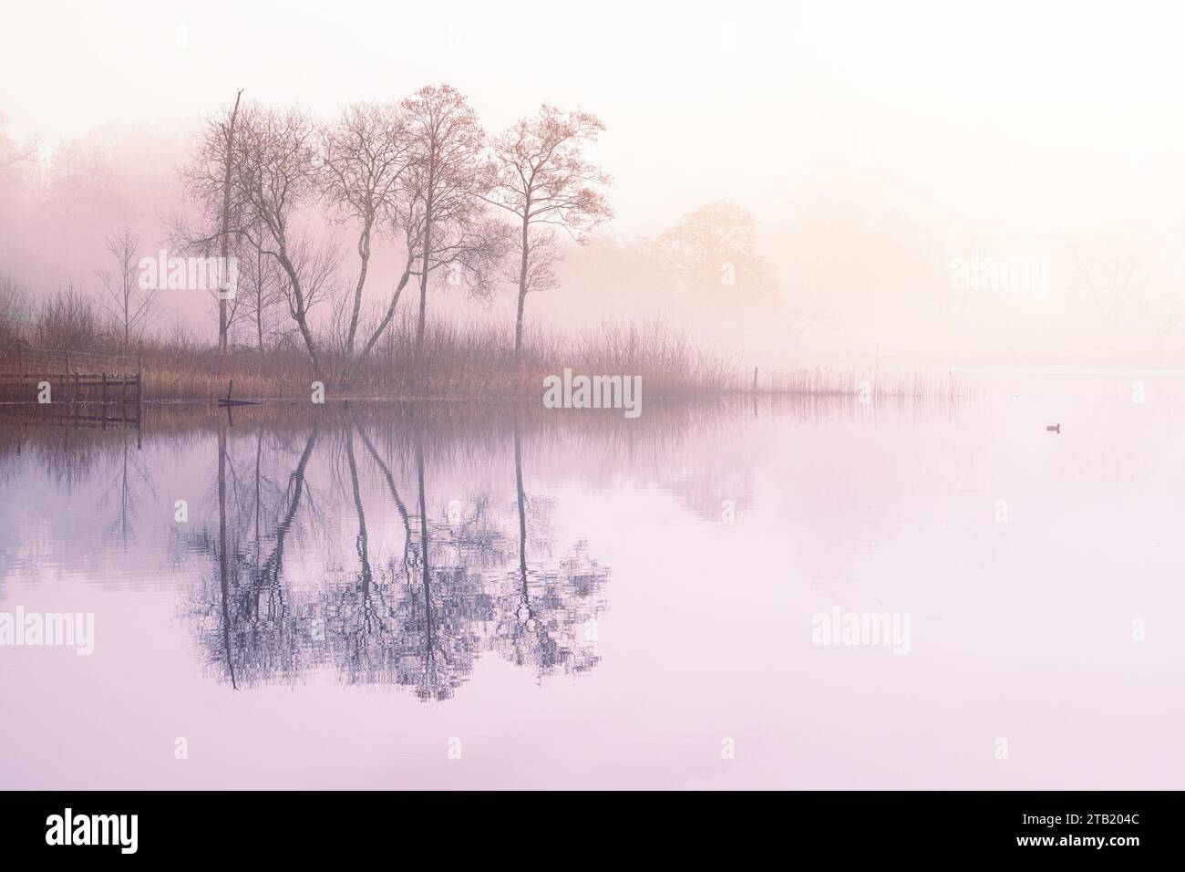 Loch Ard, i Trossachs Foto Stock