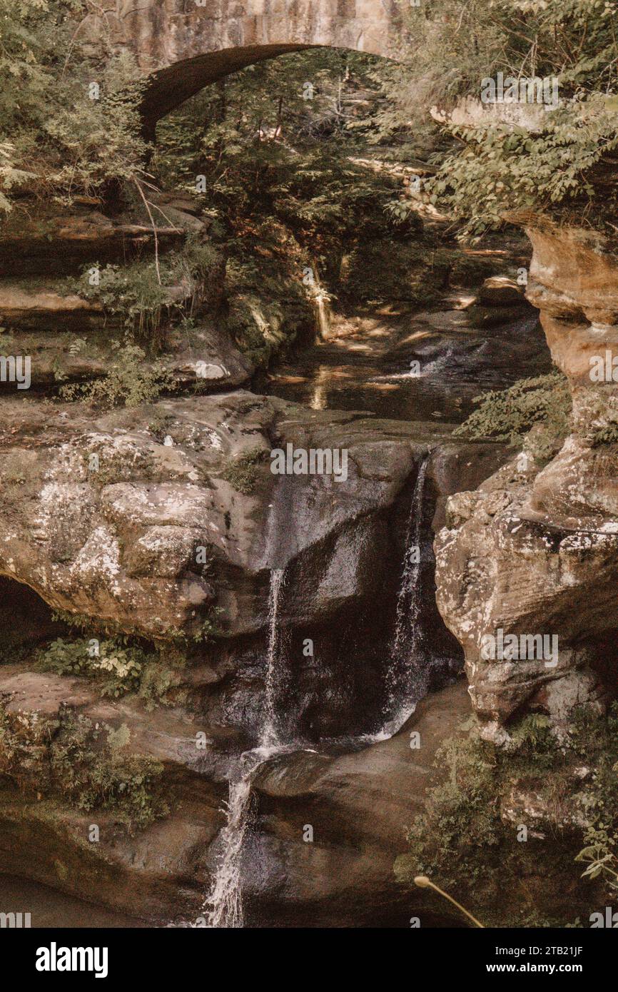 Una cascata nel bosco Foto Stock