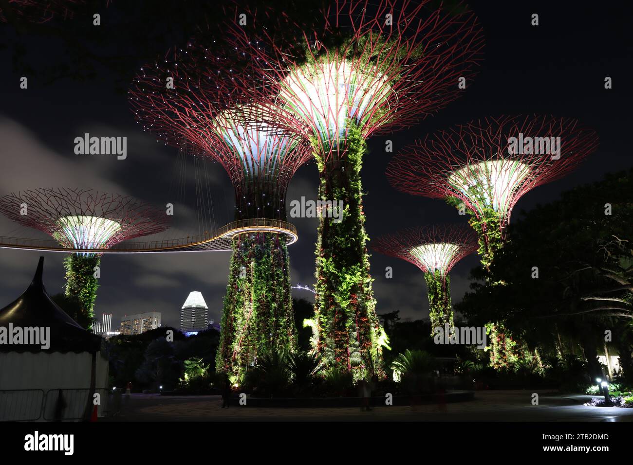 Marina Bay Sands Supertrees Foto Stock