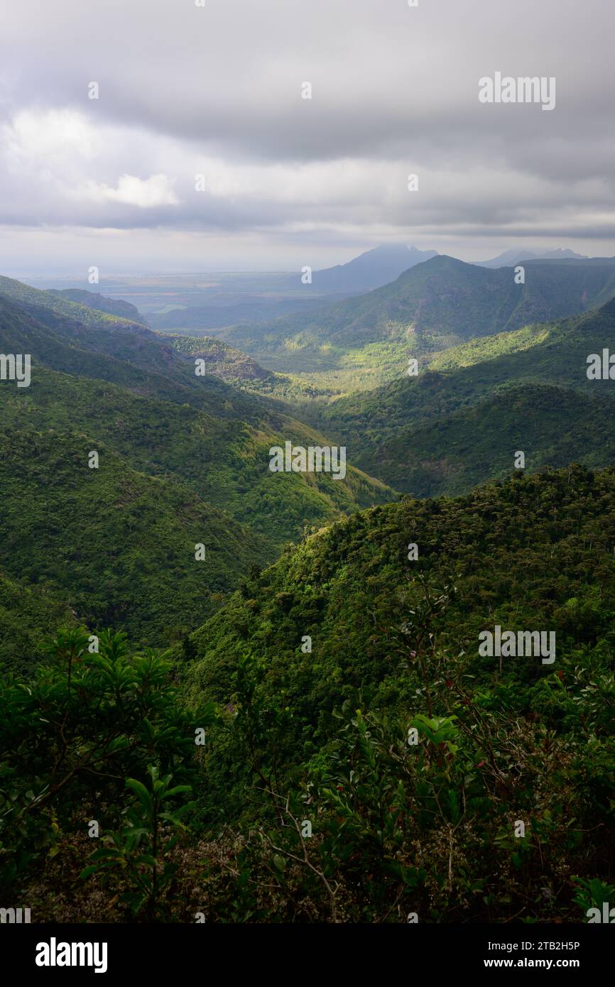 Punto panoramico della Black River Gorge con la lussureggiante Green Rainforest Valley a Mauritius Foto Stock