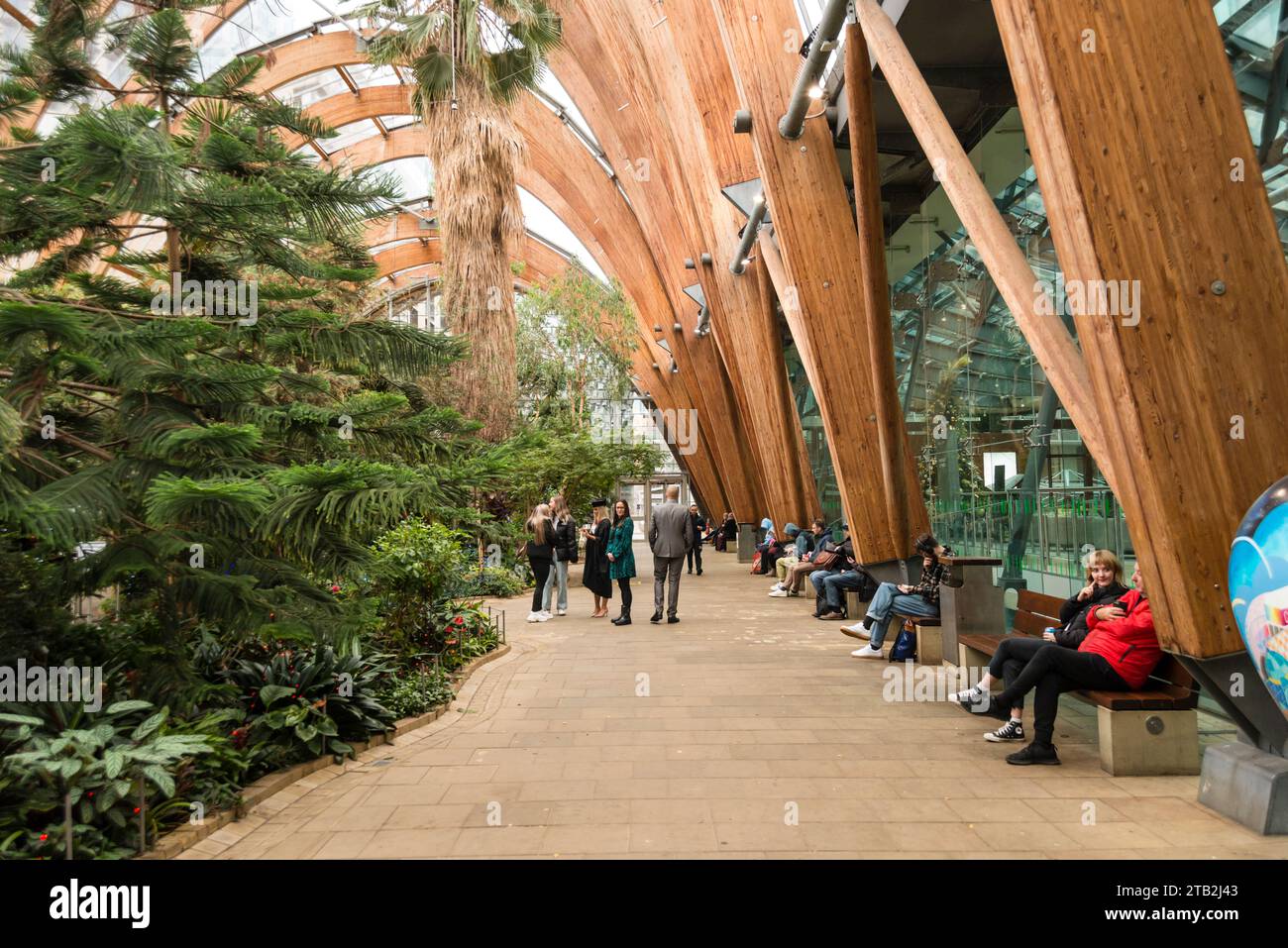 Persone sedute e rilassanti sulle panchine a Winter Garden, Sheffield, Yorkshire, Regno Unito Foto Stock