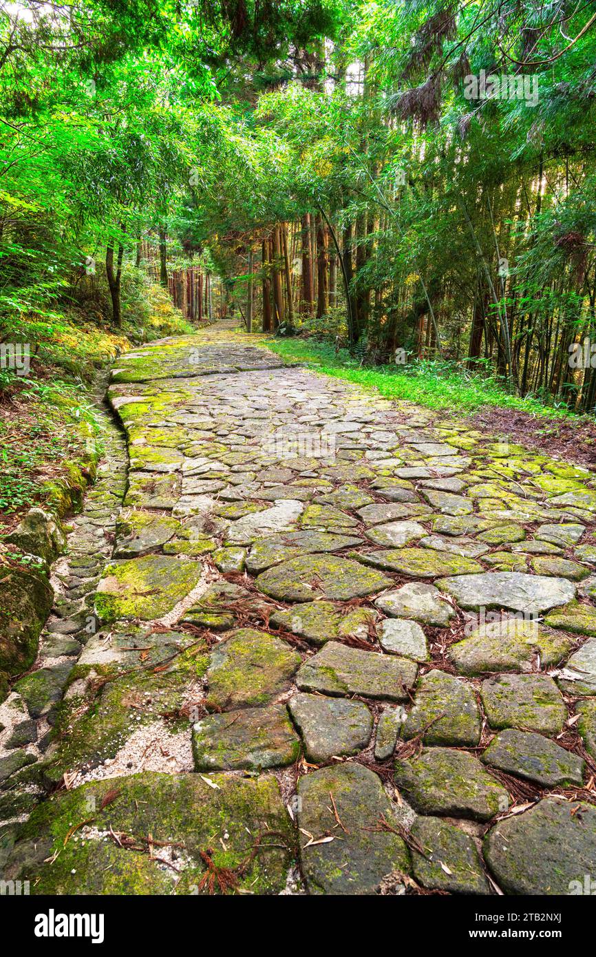 L'antico percorso Nakasendo sul sentiero acciottolato di Ochiai nella rurale valle di Kiso, prefettura di Gifu, giappone. Foto Stock