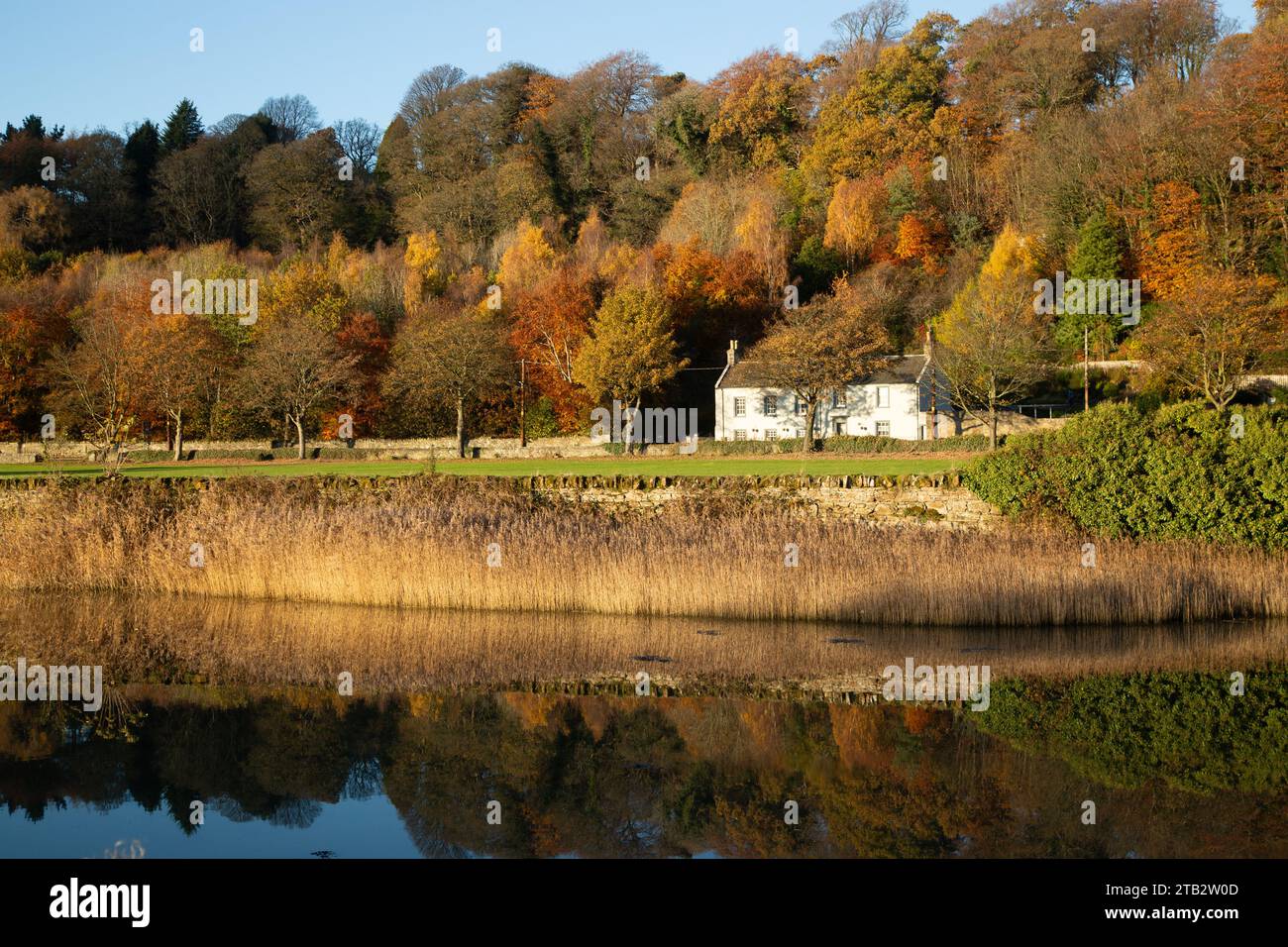 Colori autunnali e sole a Culross, Fife Foto Stock