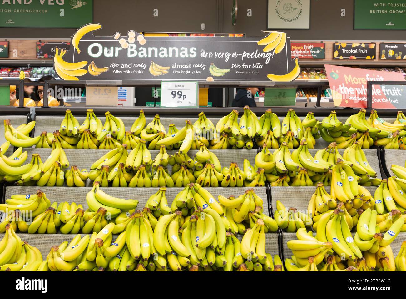 Mazzi di banane gialle mature e pronte (Cavendish) in vendita sugli scaffali del supermercato Morrisons, Regno Unito. Il Cavendish è la varietà del supermercato Foto Stock