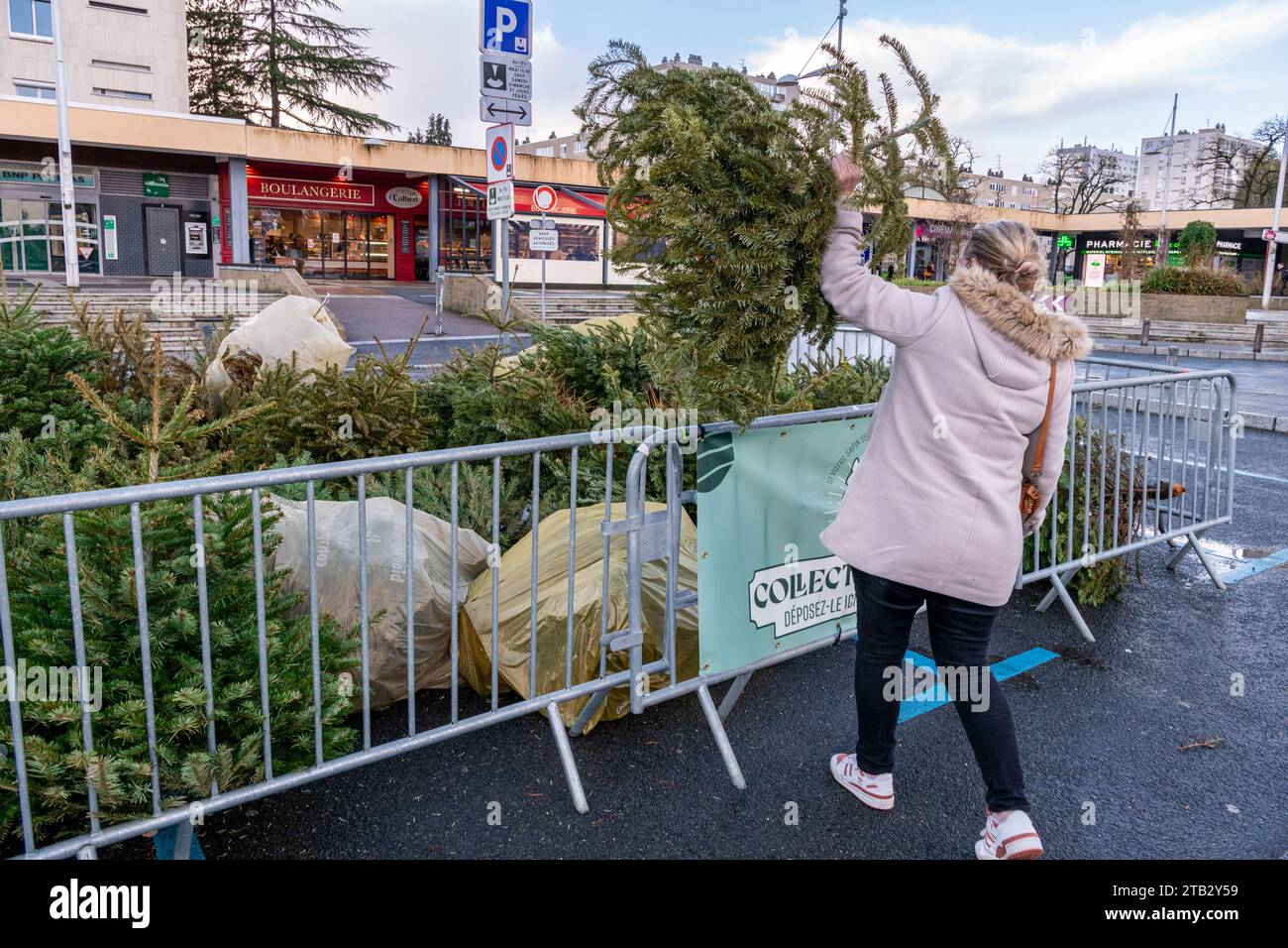 Rouen (Francia nord-orientale): La struttura intercomunale Metropole Rouen Normandie ha istituito zone di raccolta per alberi di Natale, da riciclare come Foto Stock