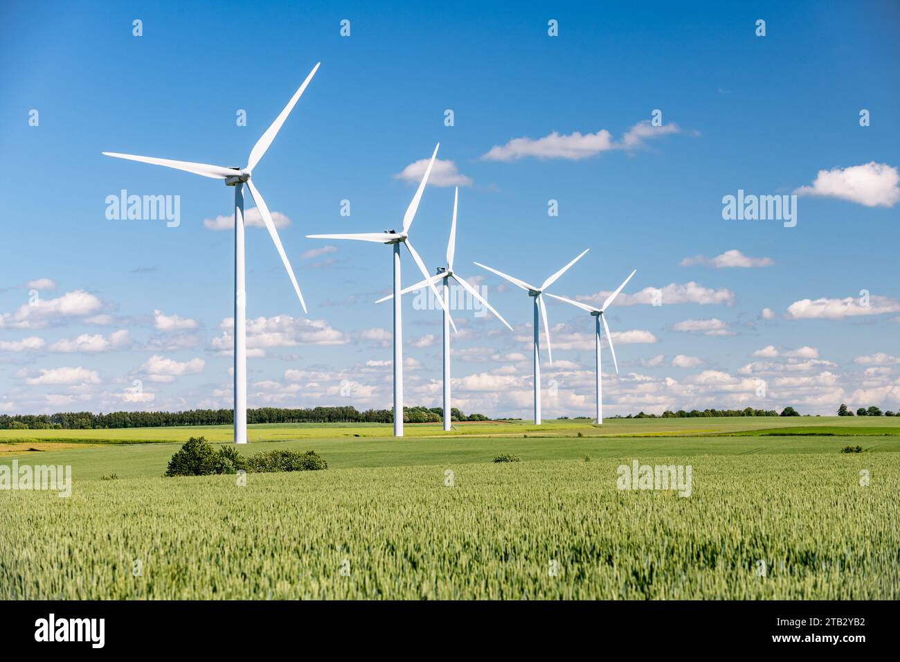 Parco eolico: Turbine eoliche in mezzo a campi coltivati. Cinque turbine eoliche di fila. Campo di grano Foto Stock