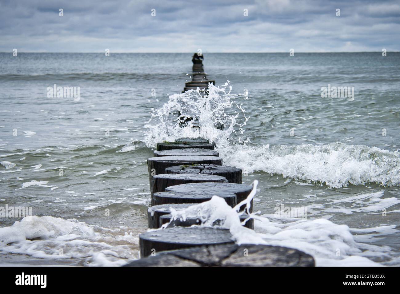 Groynes si tuffa nel Mar Baltico. Tronchi di legno per proteggere la costa. Paesaggio dal mare Foto Stock
