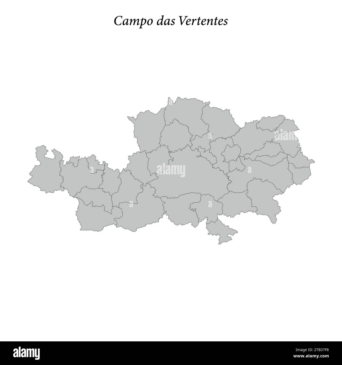 la mappa di campo das Vertentes è un mesoregion situato nello stato del Minas Gerais, con i comuni confinanti Illustrazione Vettoriale
