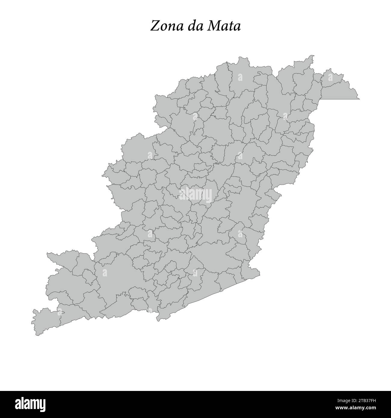 la mappa di zona da Mata è un mesoregion dello stato del Minas Gerais con i comuni confinanti Illustrazione Vettoriale