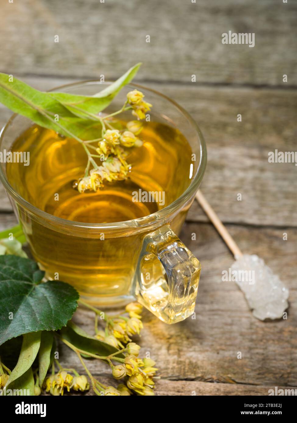 Tè al tiglio in una tazza di vetro. Tè di fiori freschi. Bevande calde a base di erbe in inverno Foto Stock