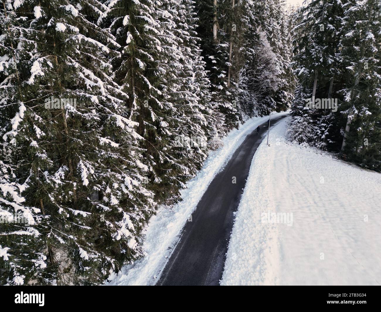 Strada invernale nella foresta innevata, Foresta Nera, Baiersbronn, Germania Foto Stock