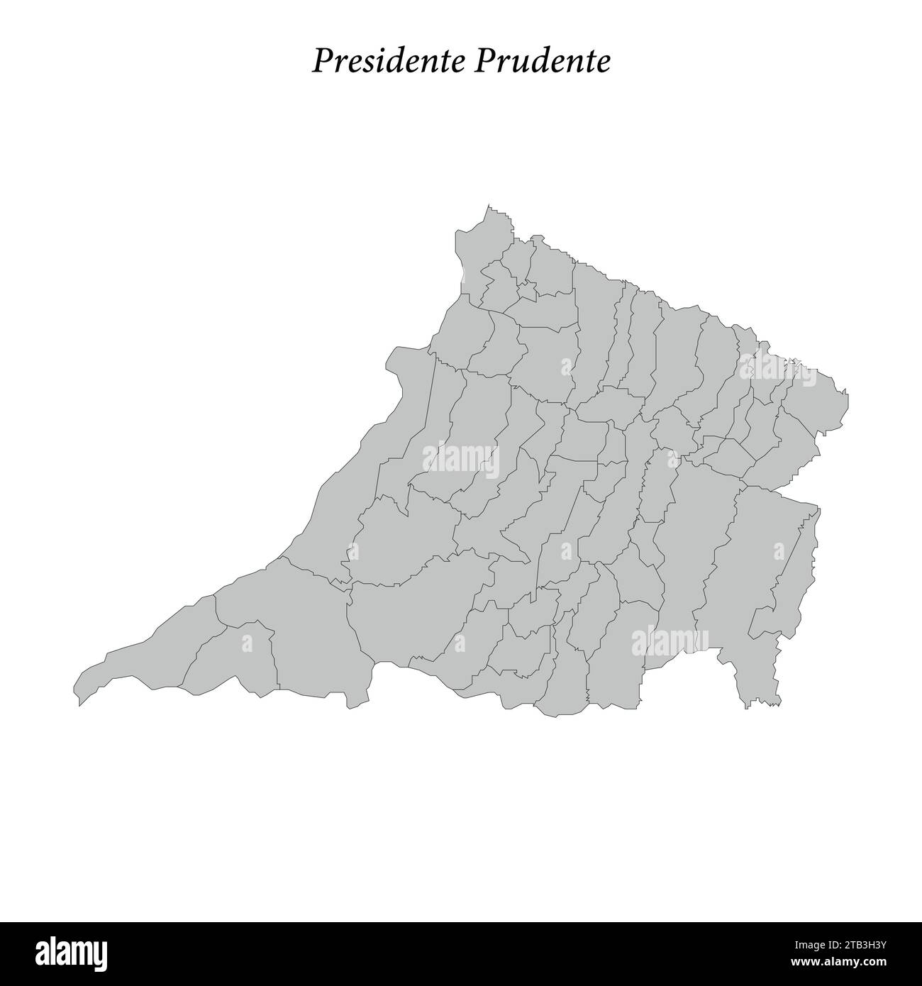 la mappa del Presidente prudente è un mesoregion dello stato di San Paolo con i comuni confinanti Illustrazione Vettoriale