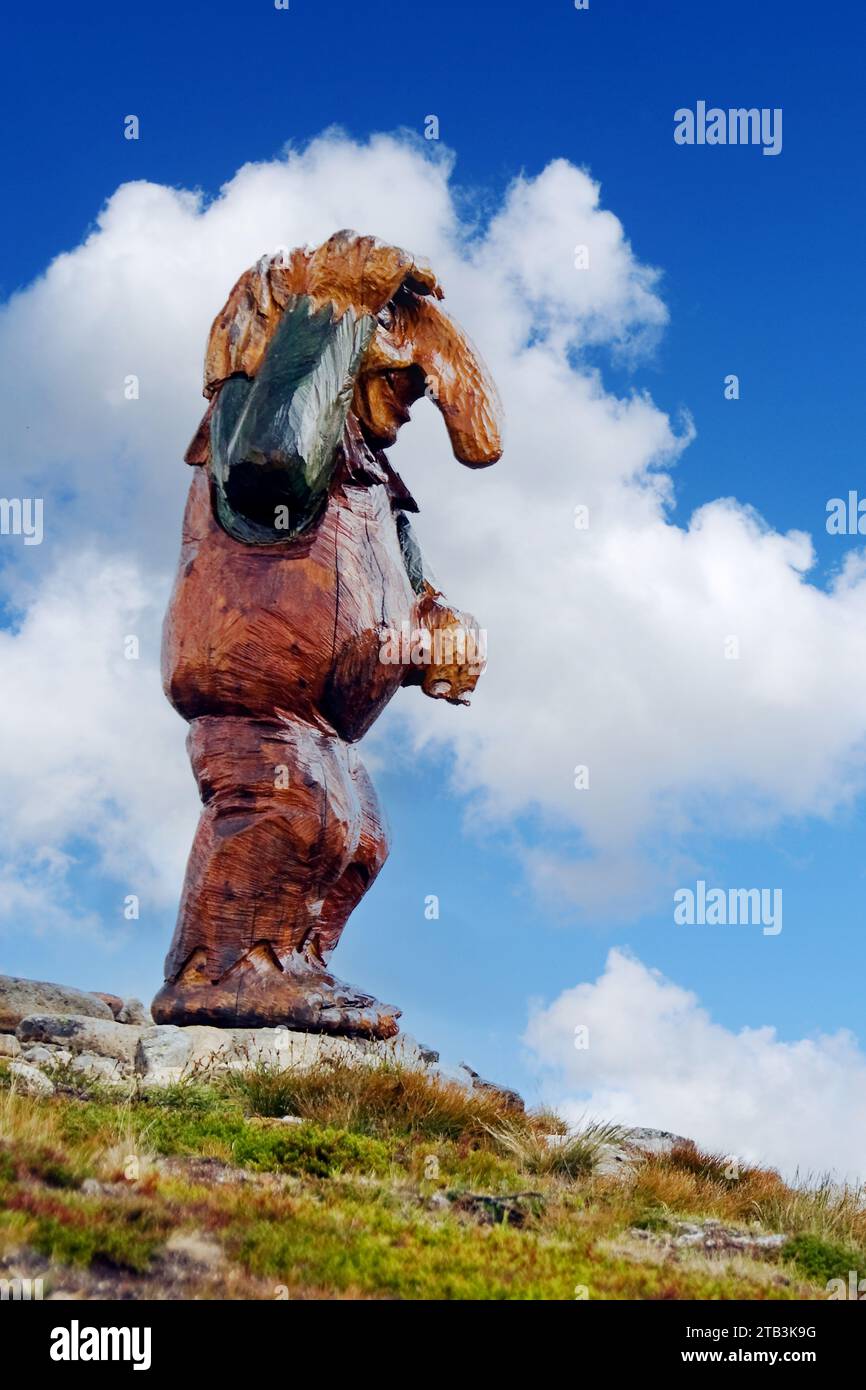 Troll norvegese dal nord Hardangervidda, Buskerud county. Foto Stock