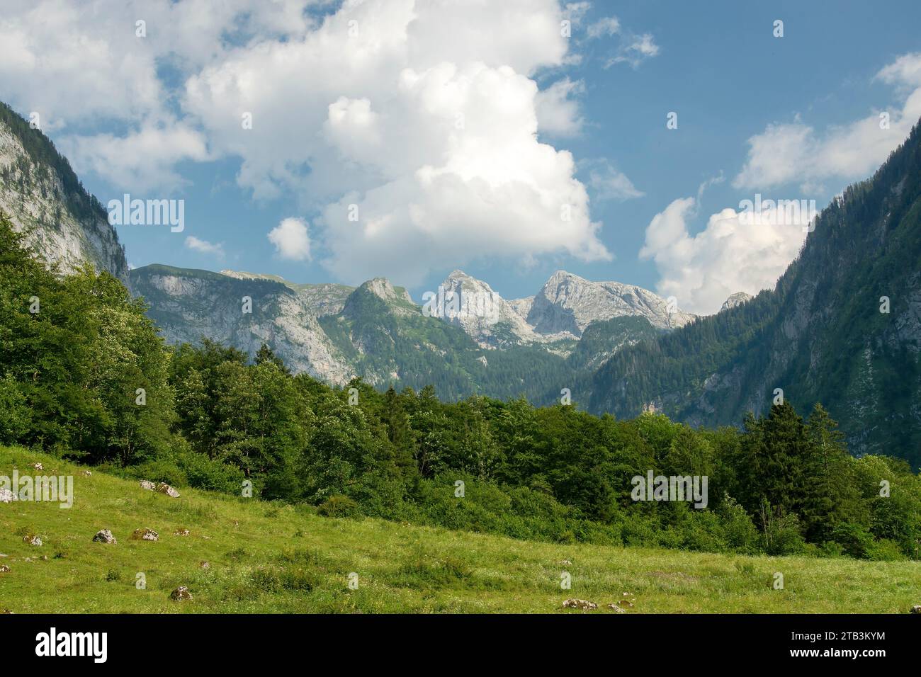 Landschaft an der Fischunklalm am Obersee hinter dem Königssee im Nationalpark Berchtesgadener Land, Oberbayern, Deutschland Foto Stock