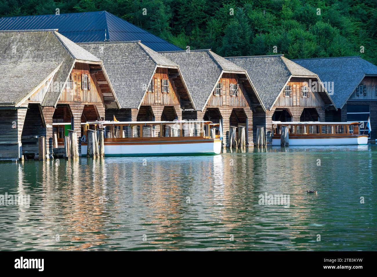 Die Schifffahrt auf dem Königsees vor Bartholomä im Berchtesgadener Land, Oberbayern, Deutschland, Die Boote kehren am Abend ind die Bootshütte an der Foto Stock