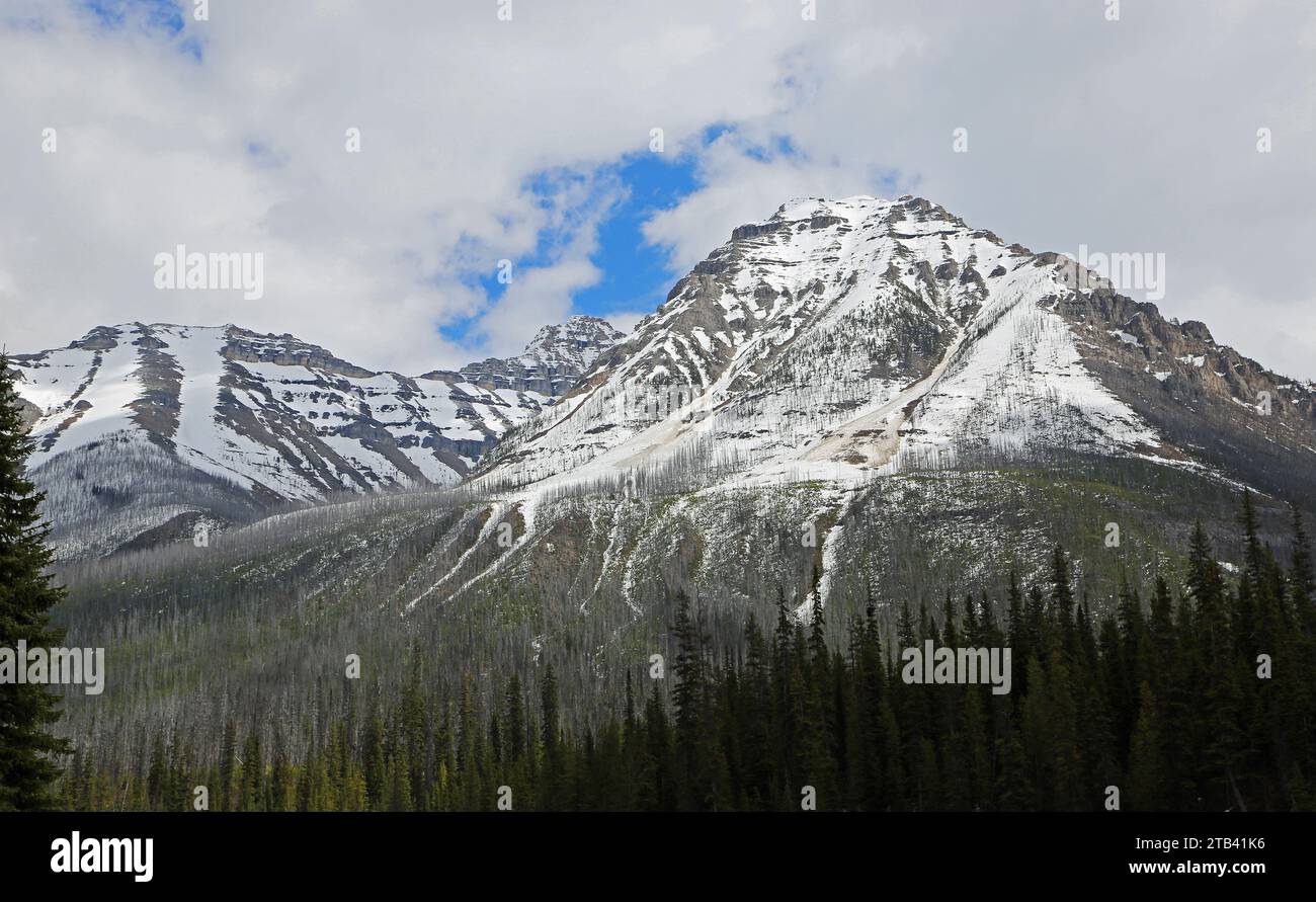 Vermilion Peak, Kootenay NP, Canada Foto Stock