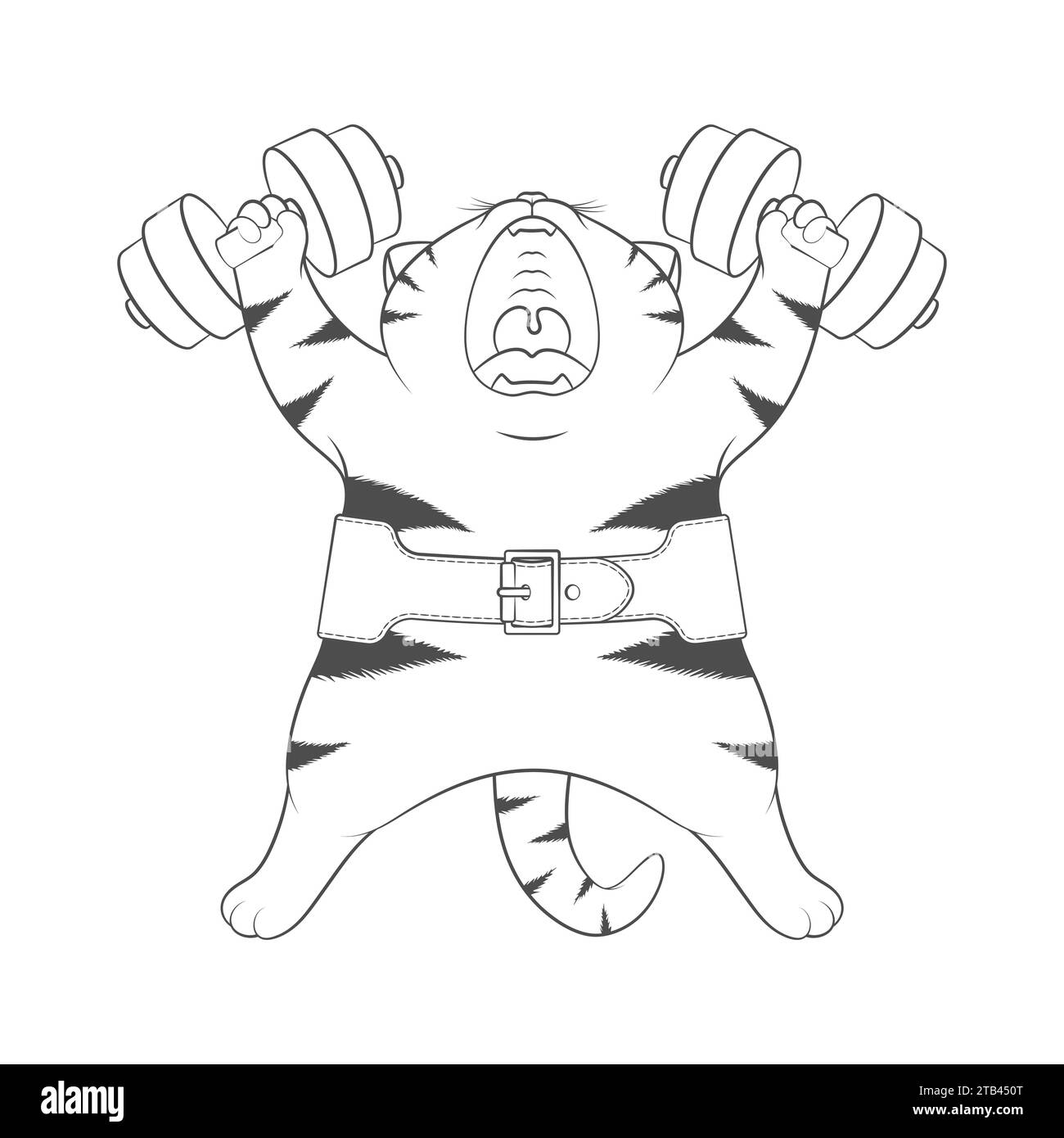 Illustrazione in bianco e nero con simpatico atleta gatto a righe con manubri e cintura atletica. Oggetto vettoriale isolato su sfondo bianco. Illustrazione Vettoriale