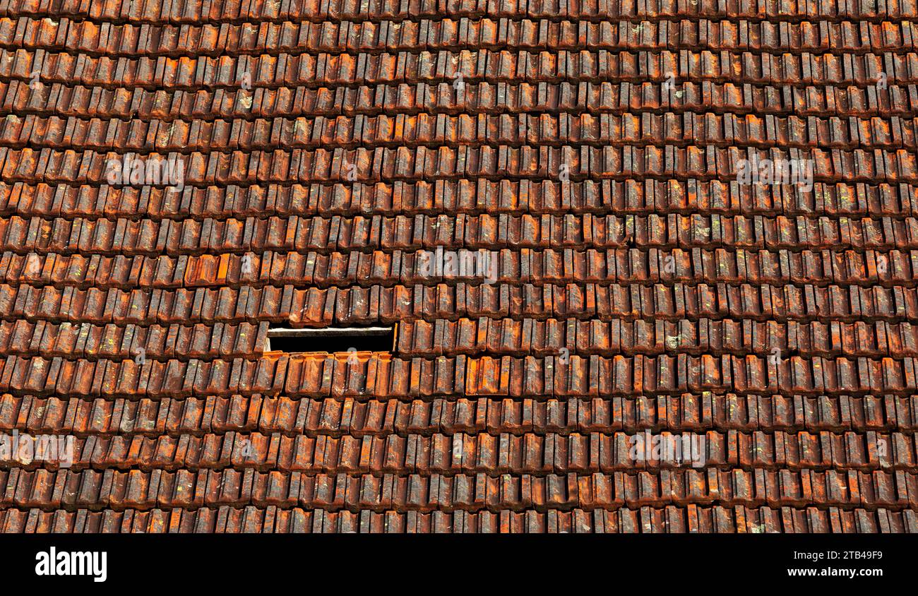 Vecchio tetto piastrellato con piastrelle mancanti, edificio residenziale, Austria Foto Stock