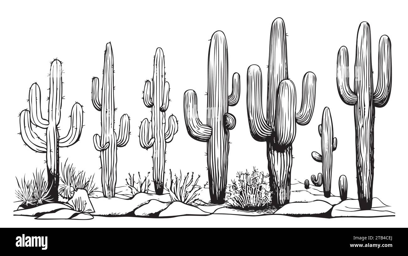 Schizzo del deserto del Sud America con cactus. Prairie. Illustrazione vettoriale disegnata a mano Illustrazione Vettoriale