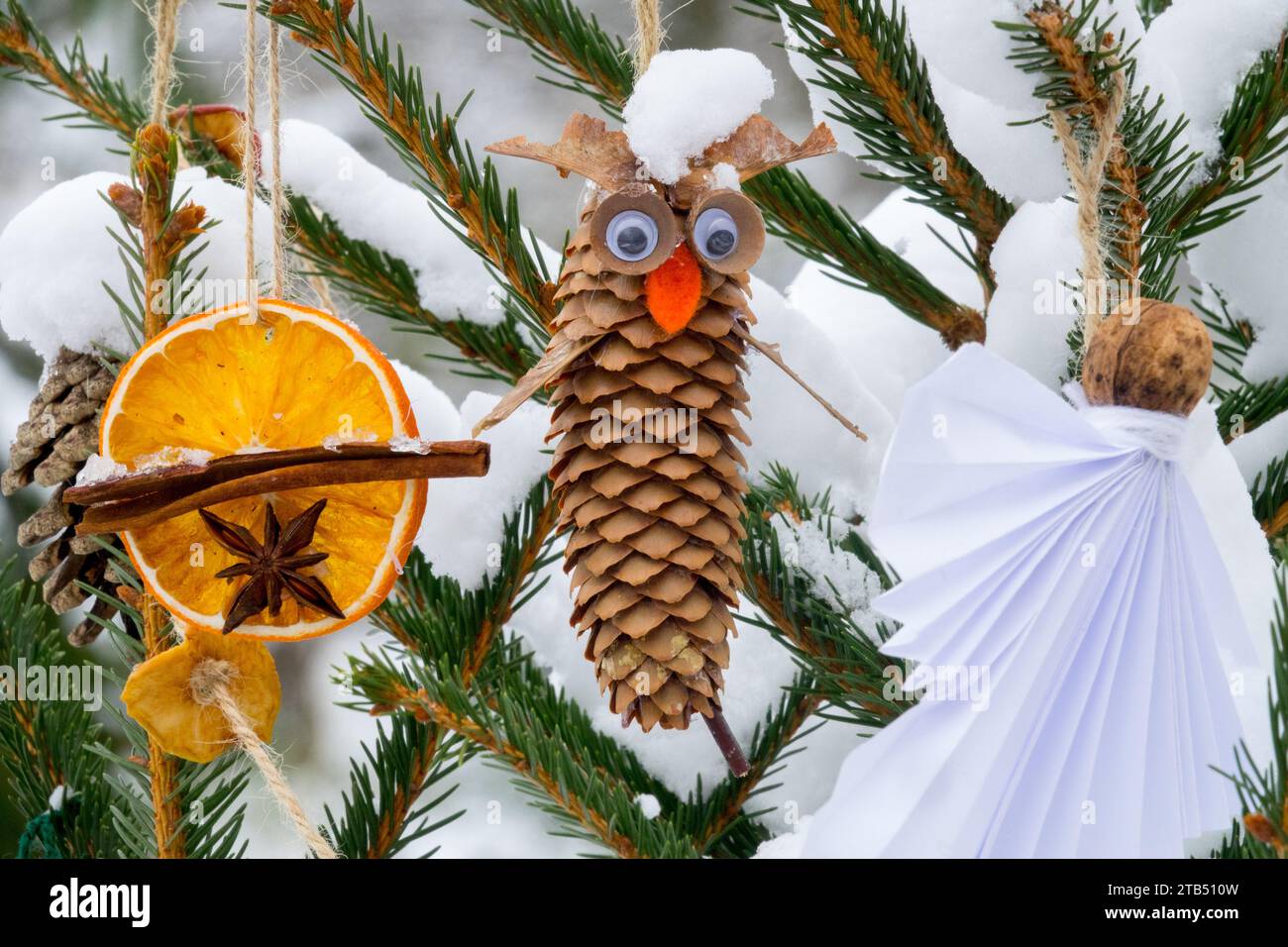 Decorazione natalizia all'esterno cono di abete rosso cannella appeso su rami d'albero innevati Foto Stock