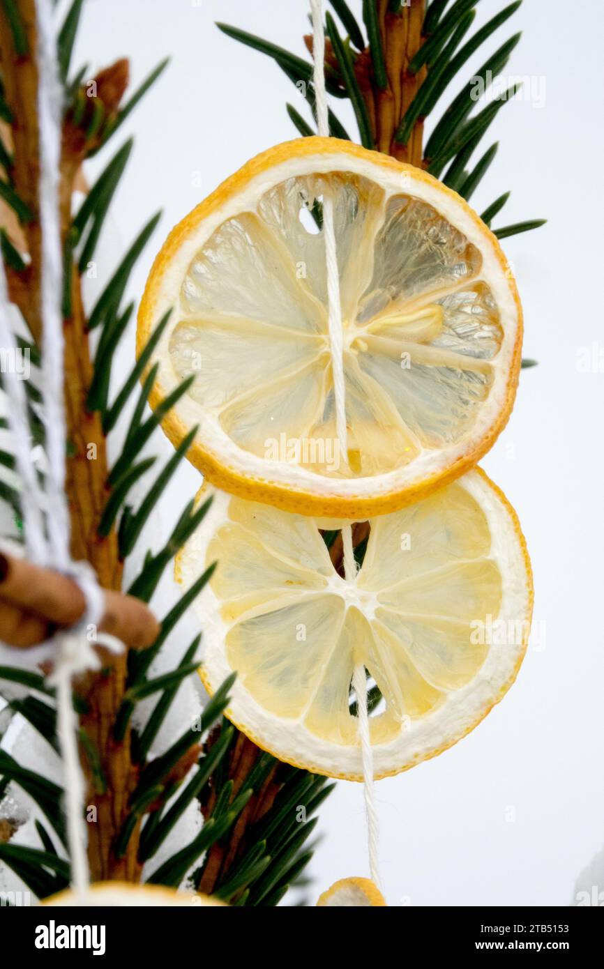 Vicino, rotondo, decorazione natalizia, appendere la frutta all'aperto sul ramoscello di abete rosso, pezzi di arance tagliati a fette Foto Stock