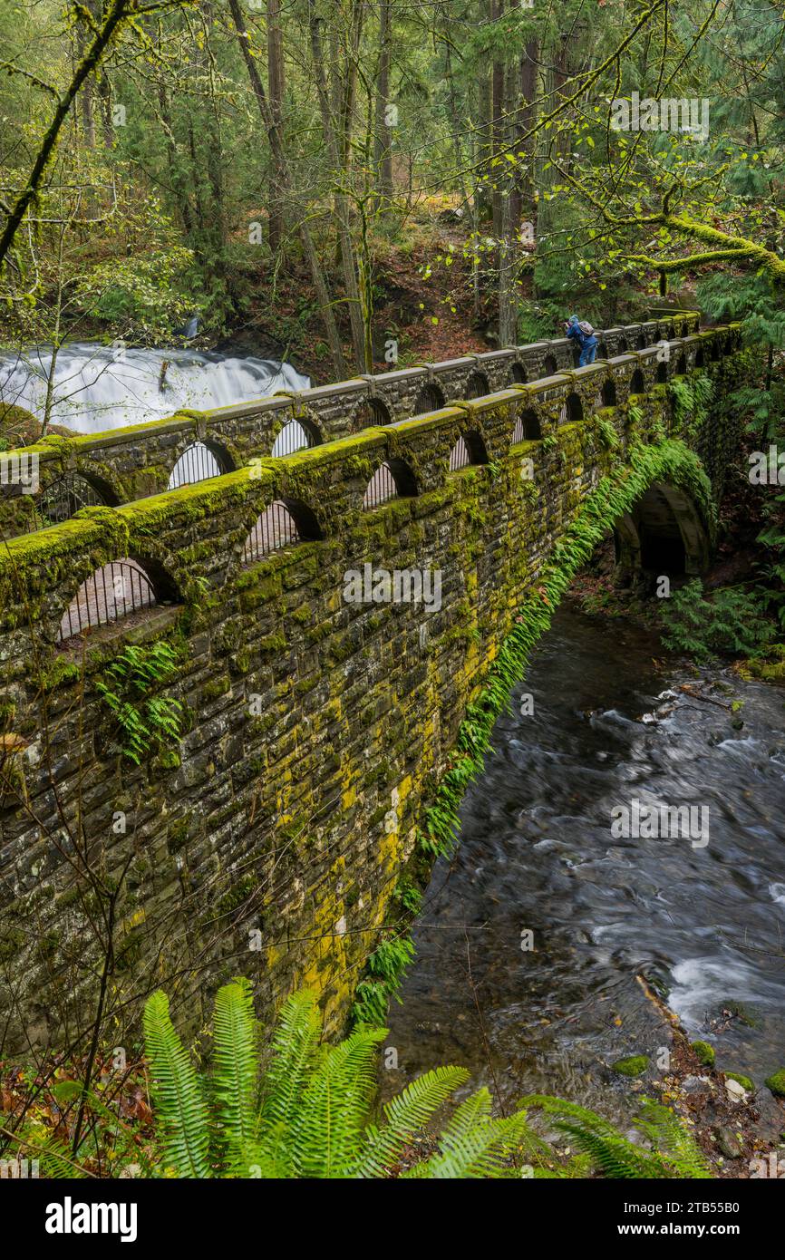 Vista del ponte in pietra dal 1939 sul Whatcom Creek nel Whatcom Falls Park di Bellingham, contea di Whatcam, stato di Washington, Stati Uniti. Foto Stock